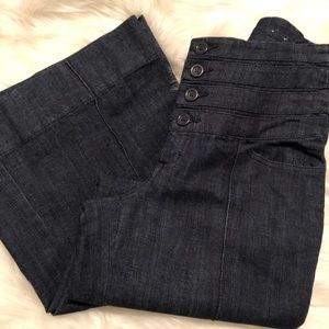 Venezia Lane Bryant High Waist Pintuck Denim Pants
